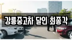 강릉중고차 달인 최종각