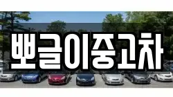 뽀글이중고차