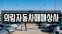 의림자동차매매상사