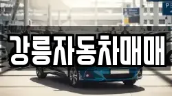 강릉자동차매매