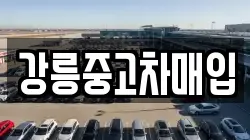 강릉중고차매입