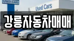 강릉자동차매매