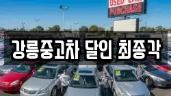 강릉중고차 달인 최종각