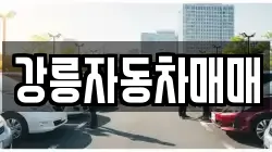 강릉자동차매매