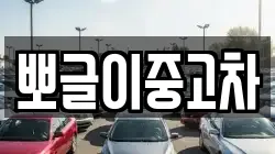 뽀글이중고차