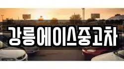강릉에이스중고차