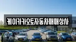 케이카카오토자동차매매상사
