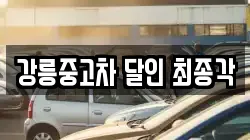 강릉중고차 달인 최종각