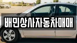 배민상사자동차매매