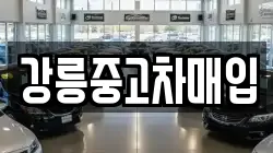 강릉중고차매입