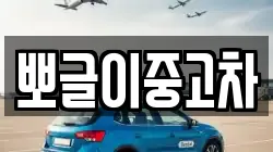 뽀글이중고차