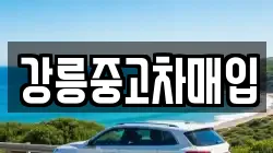 강릉중고차매입