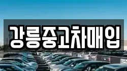 강릉중고차매입