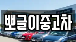 뽀글이중고차