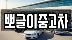 뽀글이중고차