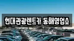 강원 동해시 귀운동 렌트카,단기렌트카,장기렌트카,중고차,중고차매매,중고차매입