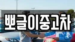 뽀글이중고차