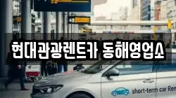 강원 동해시 나안동 렌트카,단기렌트카,장기렌트카,중고차,중고차매매,중고차매입
