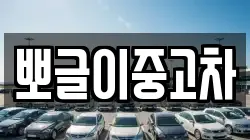 뽀글이중고차
