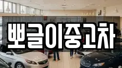 뽀글이중고차