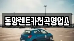 강원 동해시 발한동 렌트카,단기렌트카,장기렌트카,중고차,중고차매매,중고차매입
