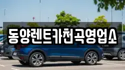 강원 동해시 부곡동 렌트카,단기렌트카,장기렌트카,중고차,중고차매매,중고차매입