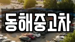 동해중고차