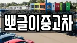 뽀글이중고차