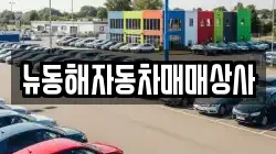 뉴동해자동차매매상사