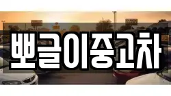 뽀글이중고차
