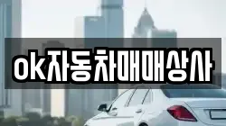ok자동차매매상사