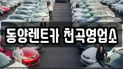 강원 동해시 지흥동 렌트카,단기렌트카,장기렌트카,중고차,중고차매매,중고차매입