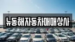 뉴동해자동차매매상사