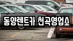 강원 동해시 천곡동 렌트카,단기렌트카,장기렌트카,중고차,중고차매매,중고차매입