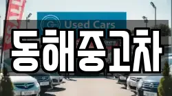 동해중고차