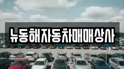 뉴동해자동차매매상사