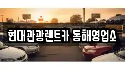 현대관광렌트카 동해영업소