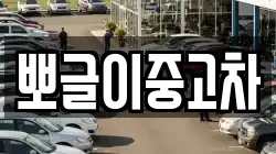 강원 삼척시 가곡면 렌트카,단기렌트카,장기렌트카,중고차,중고차매매,중고차매입