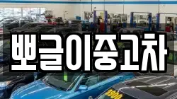 강원 삼척시 근산동 렌트카,단기렌트카,장기렌트카,중고차,중고차매매,중고차매입