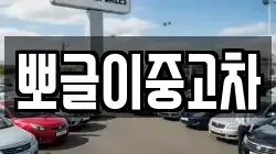 뽀글이중고차