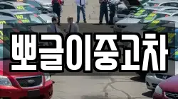 뽀글이중고차