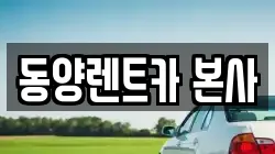 강원 삼척시 사직동 렌트카,단기렌트카,장기렌트카,중고차,중고차매매,중고차매입