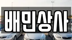배민상사