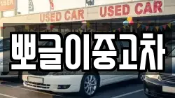 뽀글이중고차