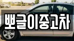뽀글이중고차