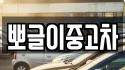 뽀글이중고차