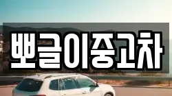 뽀글이중고차