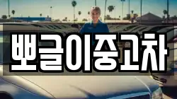 뽀글이중고차