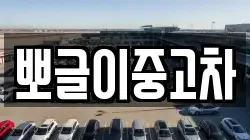 뽀글이중고차