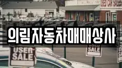 의림자동차매매상사